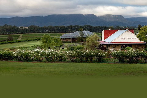 Hunter Valley Highlights Private Wine Tour From Sydney - Accommodation Melbourne 5