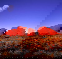 Kata Tjuta Afternoon Walpa Gorge Tour - Accommodation Melbourne