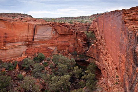 Uluru, Kata Tjuta And Kings Canyon Camping Safari From Alice Springs - Accommodation Melbourne 4