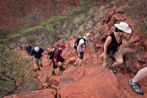 Uluru, Kata Tjuta And Kings Canyon Camping Safari From Alice Springs - Accommodation Melbourne 3
