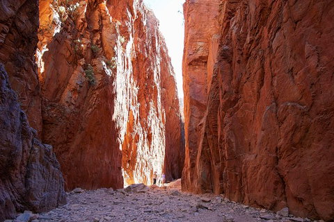 Best Of Alice Springs Full Day Tour - Accommodation Melbourne 6