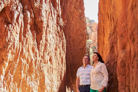 Best Of Alice Springs Full Day Tour - Accommodation Melbourne 4