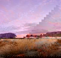 Sunset Australian Barbecue Dinner in Uluru - Accommodation Melbourne