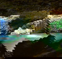 Springbrook and Mt Tamborine Adventure Tour - Bring the Kids - Accommodation Melbourne
