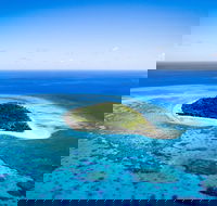 Lady Musgrave Day Trip from Bundaberg Including Snorkeling Glass Bottom Tour and Guided Island Walk - Accommodation Melbourne
