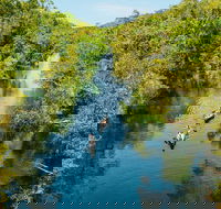 Cruise 'n' Canoe to Australia's Everglades - Accommodation Melbourne