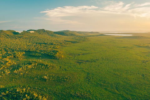 Everglades Eco Safari To Australia\'s Everglades - Accommodation Melbourne 14