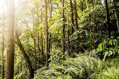 Everglades Eco Safari To Australia\'s Everglades - Accommodation Melbourne 12