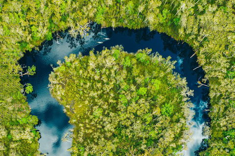 Everglades Eco Safari To Australia\'s Everglades - Accommodation Melbourne 8