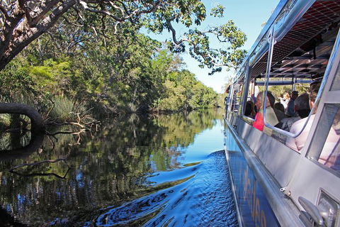 Everglades Eco Safari To Australia\'s Everglades - Accommodation Melbourne 4