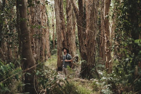 Everglades Eco Safari To Australia\'s Everglades - Accommodation Melbourne 7