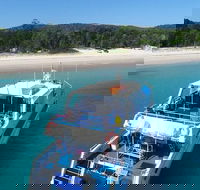 Cruise in Moreton Bay Marine Park and Moreton Island - Accommodation Melbourne
