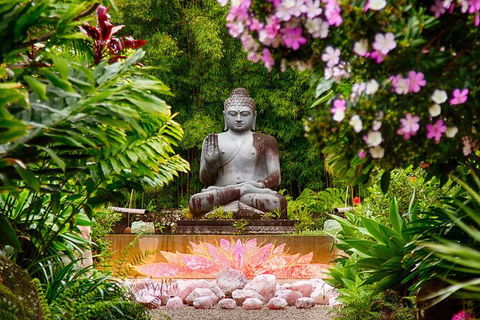 Byron Bay And The Crystal Castle Day Tour From Gold Coast - Accommodation Melbourne 7