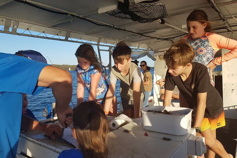 Gold Coast Half-Day Fishing Charter - Accommodation Melbourne 2