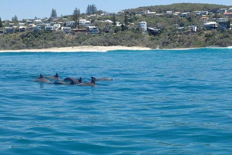 Noosa Thriller - 500hp Ocean Adventure Ride - Accommodation Melbourne 5