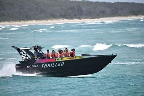 Noosa Thriller - 500hp Ocean Adventure Ride - Accommodation Melbourne 0
