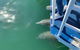 Gold Coast 1.5-Hour Sightseeing River Cruise From Surfers Paradise - thumb 1