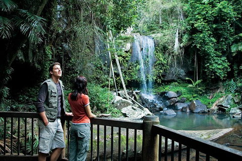 Full Day Small Group Luxury Tour To Tamborine Mountain - Accommodation Melbourne 4