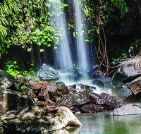 Full Day Small Group Luxury Tour to Tamborine Mountain - Accommodation Melbourne