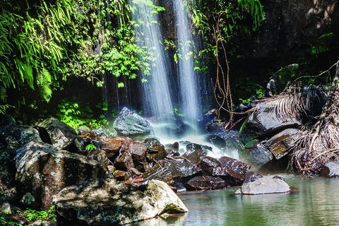 Full Day Small Group Luxury Tour To Tamborine Mountain - Accommodation Melbourne 0