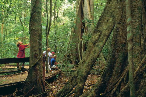 Full Day Small Group Luxury Tour To Tamborine Mountain - Accommodation Melbourne 5