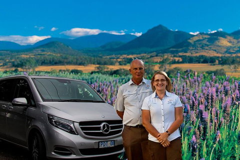 Full Day Small Group Luxury Tour To Tamborine Mountain - Accommodation Melbourne 2
