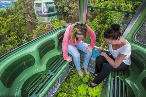 8-Day Cairns Tour: Great Barrier Reef, Kuranda, Daintree Rainforest - Accommodation Melbourne 1