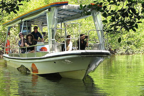 8-Day Cairns Tour: Great Barrier Reef, Kuranda, Daintree Rainforest - Accommodation Melbourne 3