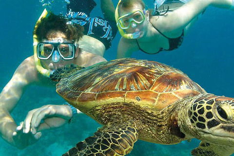 8-Day Cairns Tour: Great Barrier Reef, Kuranda, Daintree Rainforest - Accommodation Melbourne 2