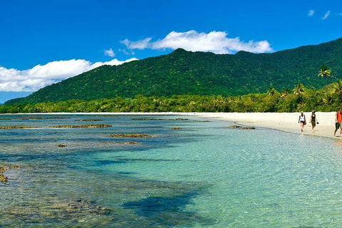 8-Day Cairns Tour: Great Barrier Reef, Kuranda, Daintree Rainforest - Accommodation Melbourne 4