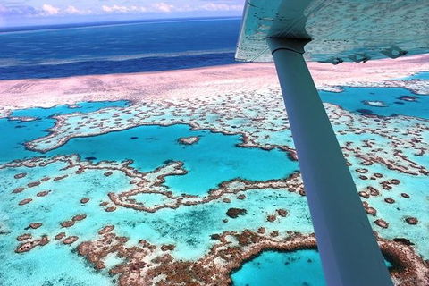 8-Day Cairns Tour: Great Barrier Reef, Kuranda, Daintree Rainforest - Accommodation Melbourne 0