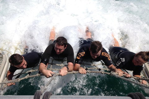 Eco Marine Safari - Boom Netting & Snorkeling Moreton Island - Roma St Transfers - Accommodation Melbourne 9