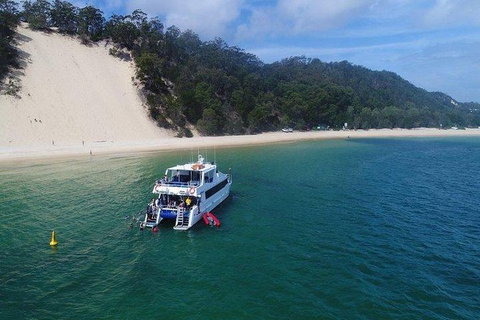 Eco Marine Safari - Boom Netting & Snorkeling Moreton Island - Roma St Transfers - Accommodation Melbourne 0