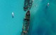 Eco Marine Safari - Boom Netting & Snorkeling Moreton Island - Roma St Transfers - thumb 4