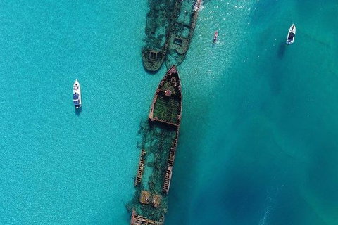 Eco Marine Safari - Boom Netting & Snorkeling Moreton Island - Roma St Transfers - Accommodation Melbourne 4