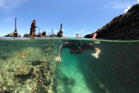 Eco Marine Safari - Boom Netting & Snorkeling Moreton Island - Roma St Transfers - Accommodation Melbourne 2