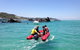 Eco Marine Safari - Boom Netting & Snorkeling Moreton Island - Roma St Transfers - thumb 1