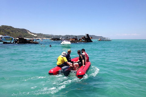 Eco Marine Safari - Boom Netting & Snorkeling Moreton Island - Roma St Transfers - Accommodation Melbourne 1