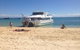 Eco Marine Safari - Boom Netting & Snorkeling Moreton Island - Roma St Transfers - thumb 8