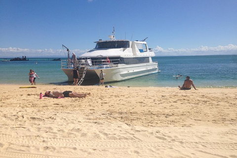 Eco Marine Safari - Boom Netting & Snorkeling Moreton Island - Roma St Transfers - Accommodation Melbourne 8