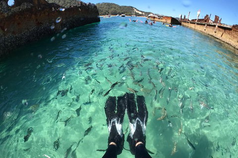 Eco Marine Safari - Boom Netting & Snorkeling Moreton Island - Roma St Transfers - Accommodation Melbourne 3