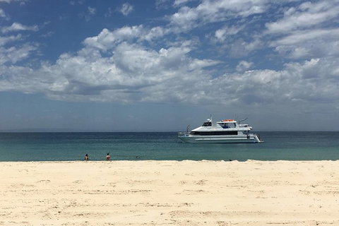 Eco Marine Safari - Boom Netting & Snorkeling Moreton Island - Roma St Transfers - Accommodation Melbourne 5