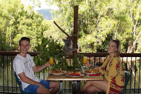 Hartley\'s Crocodile Adventures Entry Ticket And Breakfast With The Koalas - Accommodation Melbourne 0