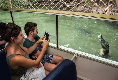 Hartley\'s Crocodile Adventures Entry Ticket And Breakfast With The Koalas - Accommodation Melbourne 7