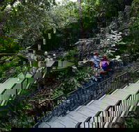 4-Day Cairns with Great Barrier Reef and Daintree Rainforest - Accommodation Melbourne