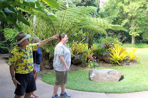 Cairns Shore Excursion: Cairns City Sights & Surrounds Tour - Accommodation Melbourne 8