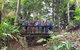 Cairns Shore Excursion: Cairns City Sights & Surrounds Tour - thumb 3
