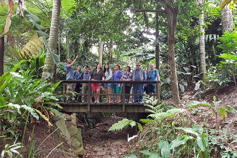 Cairns Shore Excursion: Cairns City Sights & Surrounds Tour - Accommodation Melbourne 3