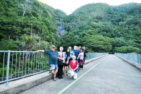Cairns Shore Excursion: Cairns City Sights & Surrounds Tour - Accommodation Melbourne 10