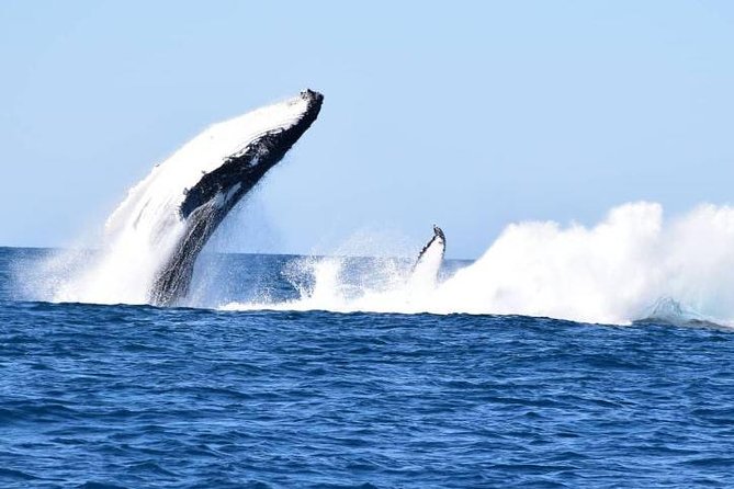 Noosa QLD Accommodation Melbourne